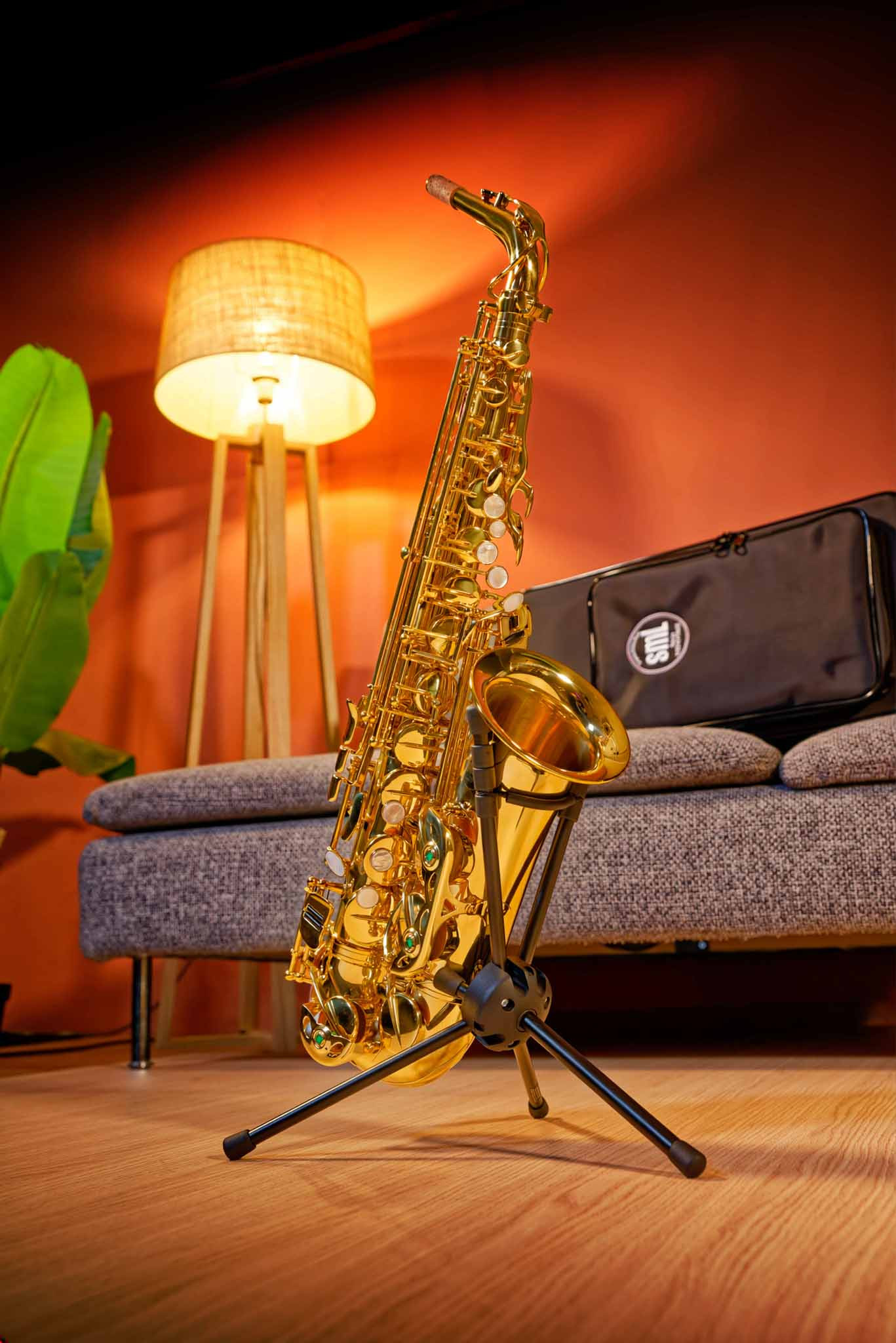 Saxophone Alto Série Vendôme VA-2000