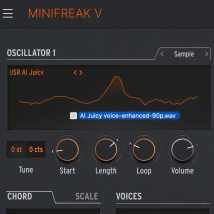 vue oscillateur MiniFreak V