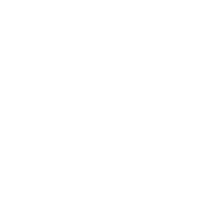 LogoCodeDH